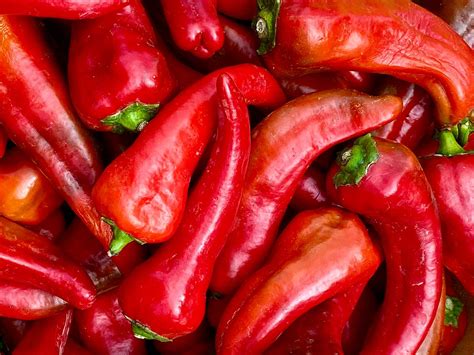 Spotlight: Red Chili 